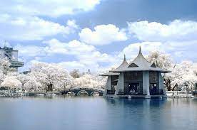 in taiwan taichung 台灣台中 taichung park 台中公園 ir紅外線攝影 dsc 8226 taichung city best cities city