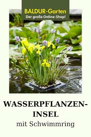In dem onlineshop von baldur garten können sie sich pflanzen für ihren bedarf in der besten gärtnerqualität nach hause bestellen. Wasserpflanzen Insel Mit Schwimmrin Teichpflanzen Bei Baldur Garten In 2020 Wasserpflanzen Pflanzen Hechtkraut