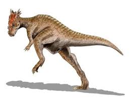Complete the tournament in the dominator league to unlock the dracorex! Jurassic World Evolution On Twitter Dracorex Podria Tambien Ser Parte De Los Dinosaurios De Jurassicworldevolution