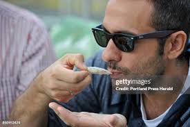 450 Island Creek Oysters Stock Photos, High-Res Pictures, and Images