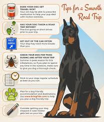 May 21, 2020 · the southwest route starts with a romp on carmel's spectacular dog beach. Tips For A Smooth Road Trip With Your Dog Road Trip With Dog Dog Travel Road Trip