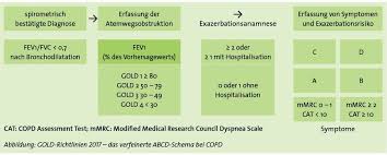 Copd Gold I Therapie Red Pastel B