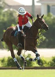 And we laugh that when we visit saudi arabia, the people we see riding camels are westerners (including all of us at hza) and saudi children! 200 A Passion For Polo Ideas Polo Sport Of Kings Polo Pony