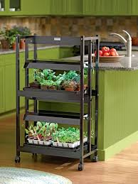 Pin On Apartment Gardening