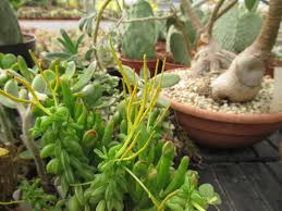 ショウタロウブログ