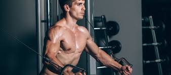 Pettorale Esterno E Petto Interno Miti Da Sfatare Project Invictus