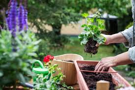 Riesenauswahl an produkten für zuhause. How To Aerate Soil In Potted Plants And Why You Should Do It The Practical Planter