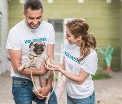 There will be a fee connected to surrendering your pet to animal care services, animal care services can only accept pets from city of san antonio residents and acs is not always able to intake owner surrenders the. Where Can I Surrender My Dog For Free