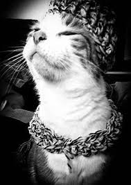 This free crochet scoodie pattern combines a warm winter hat and scarf with lots of fun and animal magnetism! Crochet Hats For Cats 7 Crochet Patterns For Cat Hats