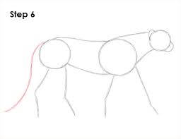 It will be very easy drawing tutorial. How To Draw A Cheetah