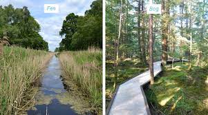 The green area at toe of the slope represents the fen area. Fens Vs Bogs Shadow