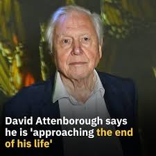 This is so beautiful❤️