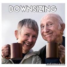 Downsizing company for Allenton, MI senior center