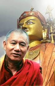 If you knew the pain of a tree, an animal, or anything in existence as you  know the pain of your body, you would keep everything well." ~ Sadhguru 🌹🙏