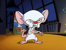 Maybe you would like to learn more about one of these? Cartoon Pinky Brain Nooo 1024x768 Download Hd Wallpaper Wallpapertip