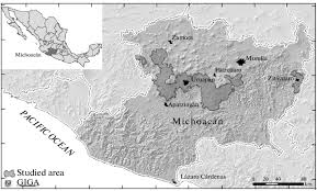 Day of the dead celebration, morelia michoacán. Location Of The Main Areas Of Avocado Cultivation In Michoacan Mexico Download Scientific Diagram