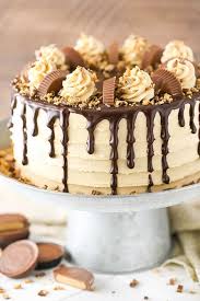 Best Birthday Cake Ideas Recipes Chocolate Layer Cake Recipe Salted Caramel Chocolate Cake Chocolate Layer Cake