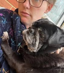 This is Boo. She is a rescue dog from Macedonia and she is nearly 2. She is  half Pug half Miniature Pincher and is known as a Muggin. She was found  living