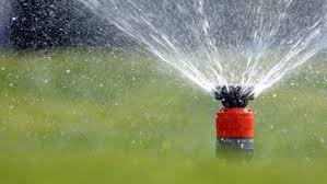 Rasensprenger Welcher Ist Der Richtige Karibu Gartenhaus Garten Sprenger Rasensprenger