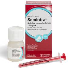 Itrafungol can be given with or without food. Itrafungol Vs Semintra Comparison 1 800 Petmeds