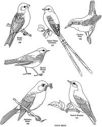 Bird Outlines Bird Drawings Art Handouts Bird Patterns
