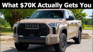 Image result for Power Tan 2025 Fleet