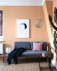 Reveal Pendant Lamp Home Decor Apartment Design Home