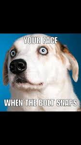 When The Bolt Snaps Dog Rates Mechanic Humor Dogs
