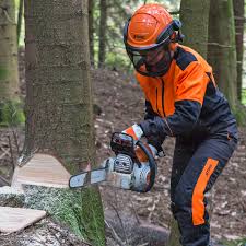 Da die schüler der oberstufe ein hohes sprachliches niveau aufweisen, können sie sich tief gehend mit komplexen themen auseinander setzen und sich fachkenntnisse aneignen. Einen Baum Fallen Wie Ein Fachmann So Geht S Mein Schoner Garten