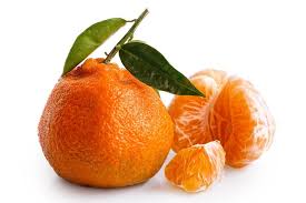 Owari Satsuma Semi Dwarf Mandarin Tree Satsuma Fruit Mandarin Tree Fruit