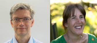 How we are organised