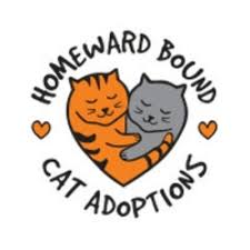 Learn more about las vegas foster kittens in las vegas, nv, and search the available pets they have up for adoption on petfinder. Pets For Adoption At Homeward Bound Cat Adoptions In Las Vegas Nv Petfinder