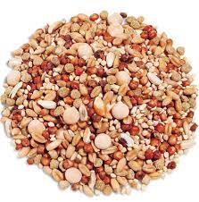 We did not find results for: Pemberian Makan Merpati Pos Abdim Birds Farm