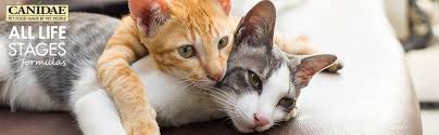 They also help to keep your cat's teeth healthy. Canidae Life Stages Dry Cat Food For Kittens Adults Seniors