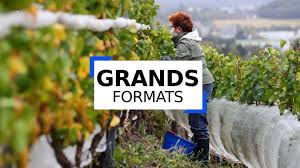 We did not find results for: Dix Ans De Charbonnay Comment Le Petit Vin De Terril S Est Retrouve A La Table