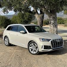 Image result for Vicuna Beige 2023 Q7