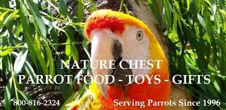 Top Ten Dangers For Birds And Parrots