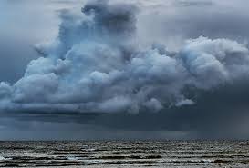 (crowd chanting mireille's and aurore's names) aurore: Market Action Update Stormy Weather