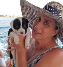 Vote for Jiba! I entered Jiba into the Sonoma County Regional Parks Top Dog  contest. Each vote costs $1 and benefits Regional Parks. Please vote for  Jiba! (He is #107 at the