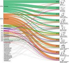 Edna Metabarcoding Reveals Dietary Niche Overlap Among Herbivores In An Indian Wildlife Sanctuary Schure 2021 Environmental Dna Wiley Online Library