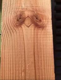 Apparently, if you can see a tree, you're left-brained, and if you see two  people holding hands, you're right-brained. 🤔 And if you see an ostrich...  well check the comments👇