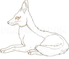 More 100 images of different animals for children's creativity. How To Draw A Jackal Step By Step Drawing Guide By Dawn Dragoart Com