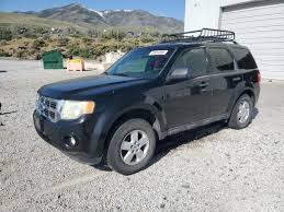 Image result for Black 2009 Escape