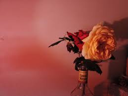 Maybe you would like to learn more about one of these? 79 Pastel Red Ideas Pastel Red Red Aesthetic Red