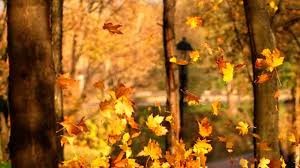 Unde doamne sa ma duc. Unde Sa Ma Duc Eu Doamne Veta Biris Craii Barcaului Feat Craii Barcaului Shazam