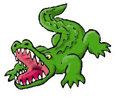 Image result for Alligator gifs