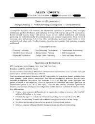 Resume Examples Executive Lebenslauf Beispiele Lebenslauf Fahigkeiten