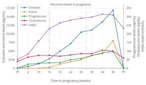 Shbg is found in all vertebrates apart from birds. Sex Hormone Binding Globulin Wikipedia