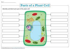 Animal cells have different organisms. Name The Parts Of A Plant Cell Plant And Animal Cells Cells Worksheet Animal Cells Worksheet
