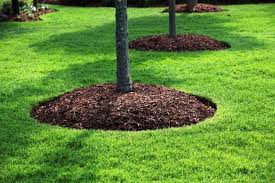 When you mulch, you integrate these essential nutrients back into the soil. 3 Myths About Mulches Jimsmowing Com Au